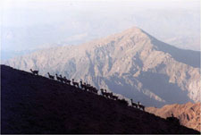 Argentina-Cordoba/Mendoza-Mountains and Wine Country Ride